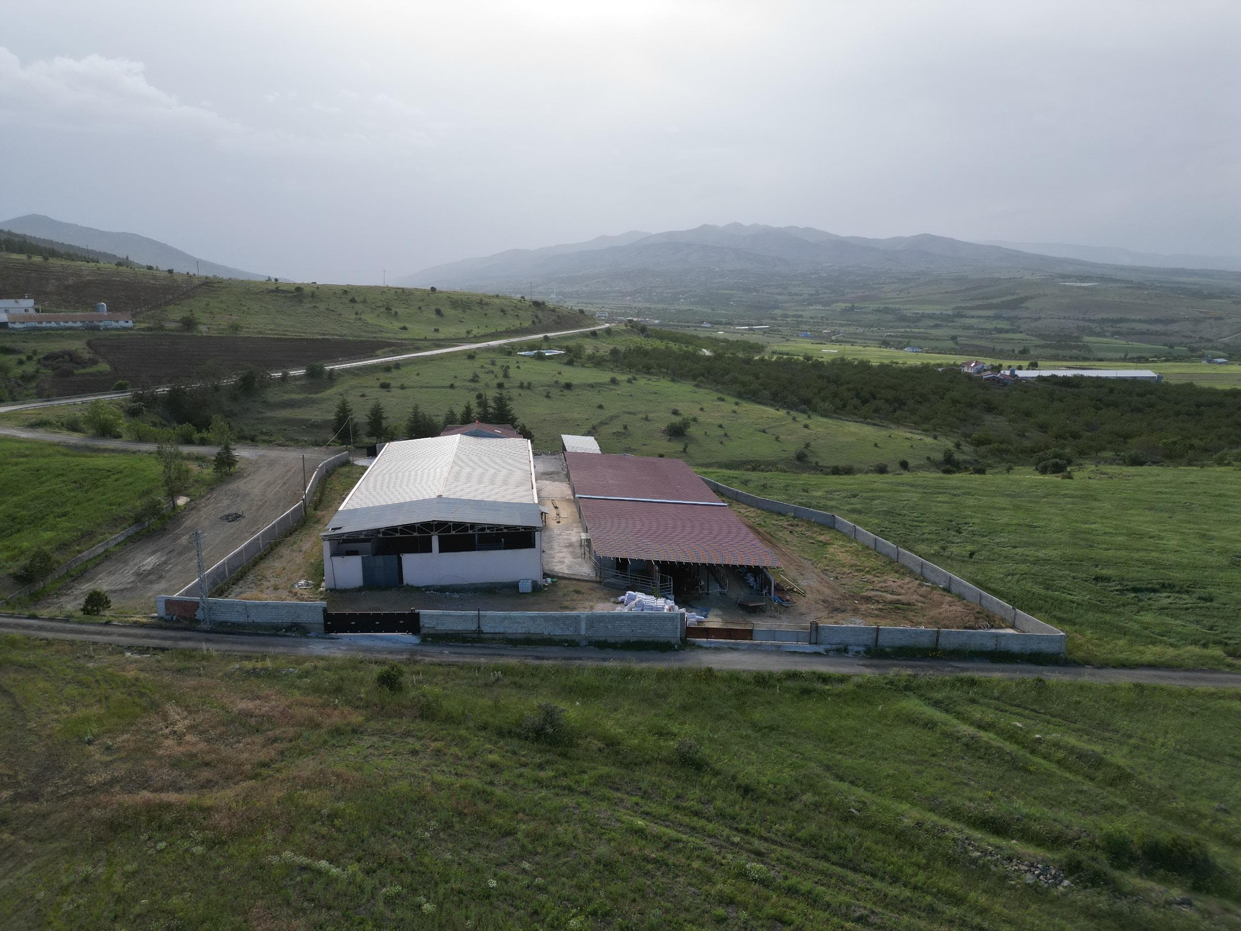 Elazığ kurban Organizasyonları - doğal ortamda hayvanlar